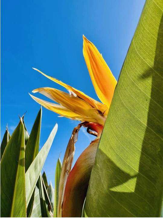 Portfolio 1